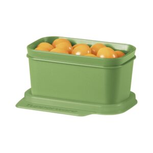 Pote Hermético  Basic Line Verde Grama 160ml